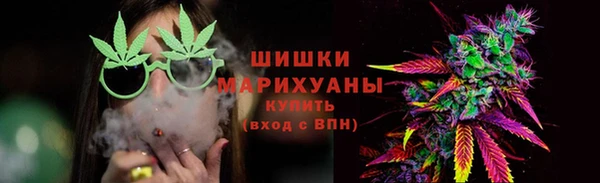 сатива Бронницы