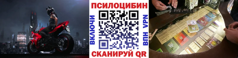 купить наркотики сайты Касимов Псилоцибиновые грибы Cubensis
